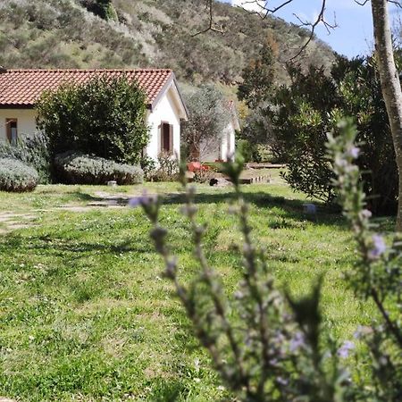 Taverna Centomani Potenza Bagian luar foto
